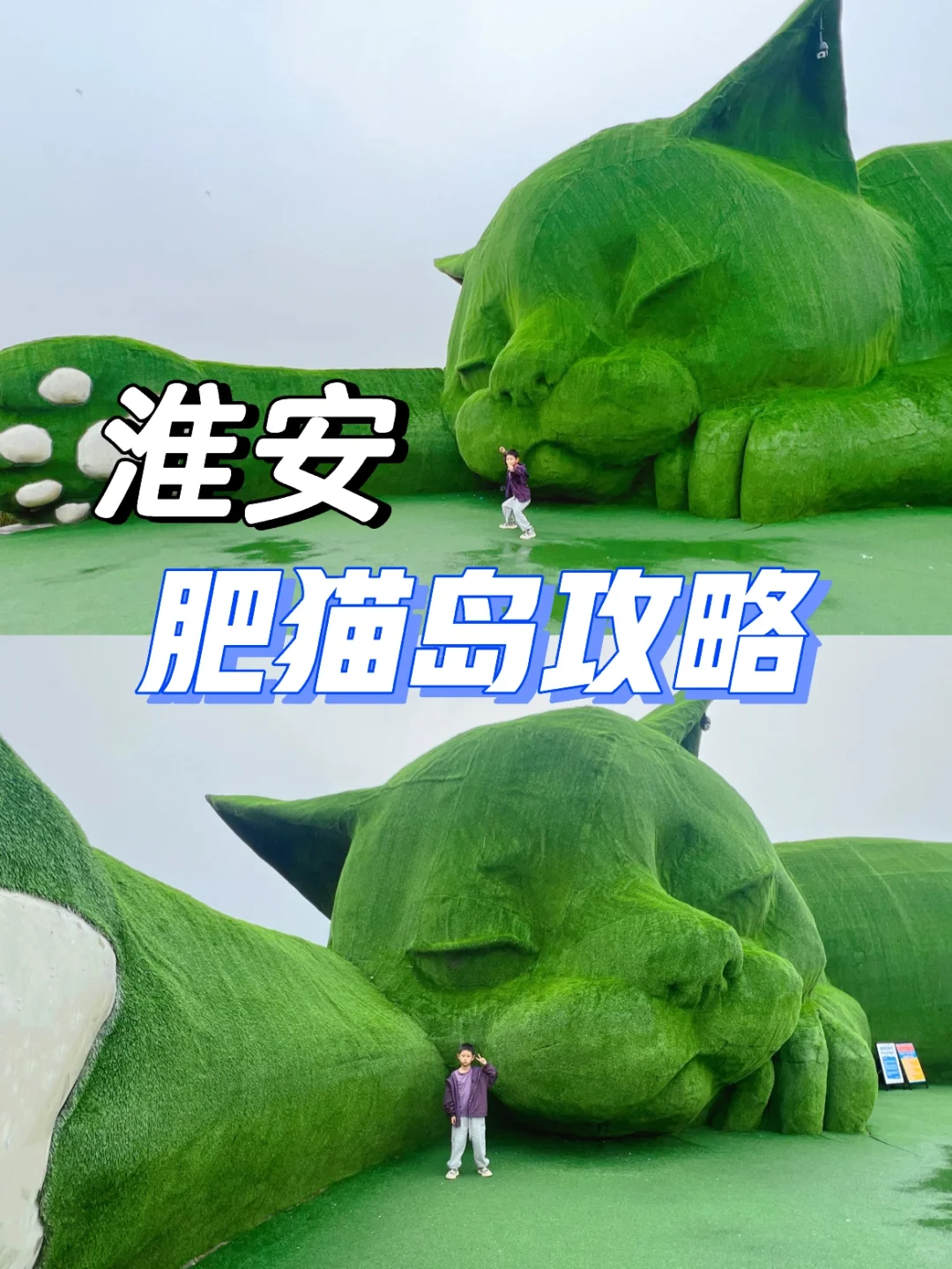 我承认这是我去过最治愈的小岛🐈肥猫岛来啦