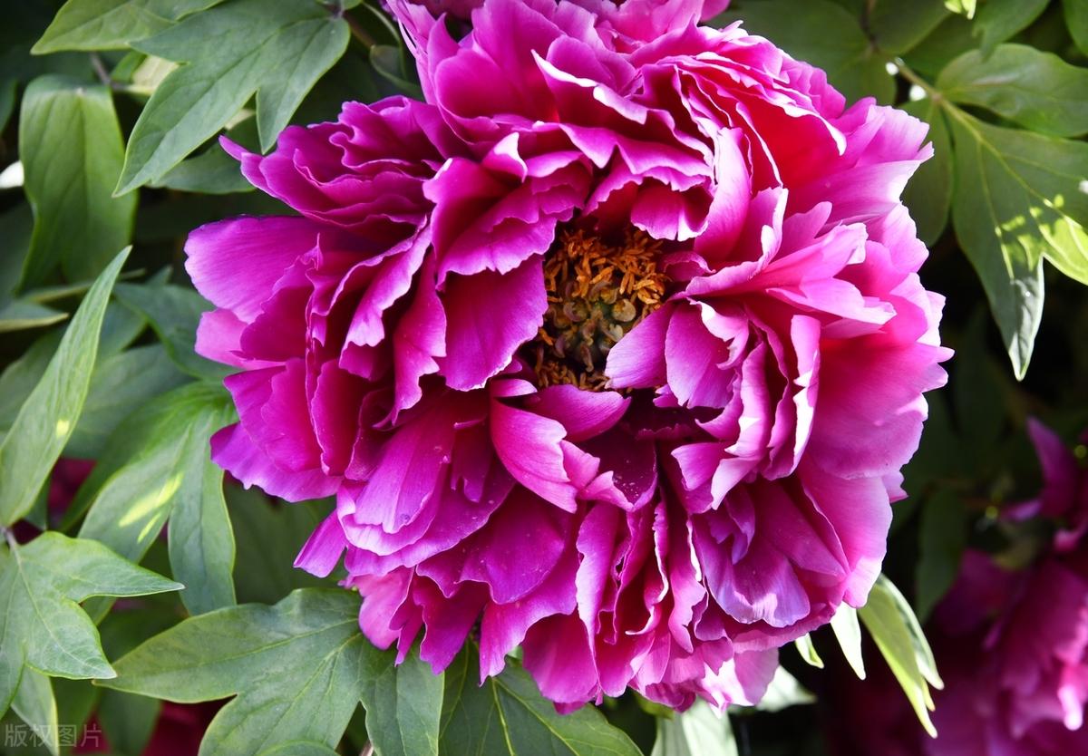 当你在想玩什么，有人在想学什么；当你还在计划，有人已出发；当你决定放弃，有人却坚