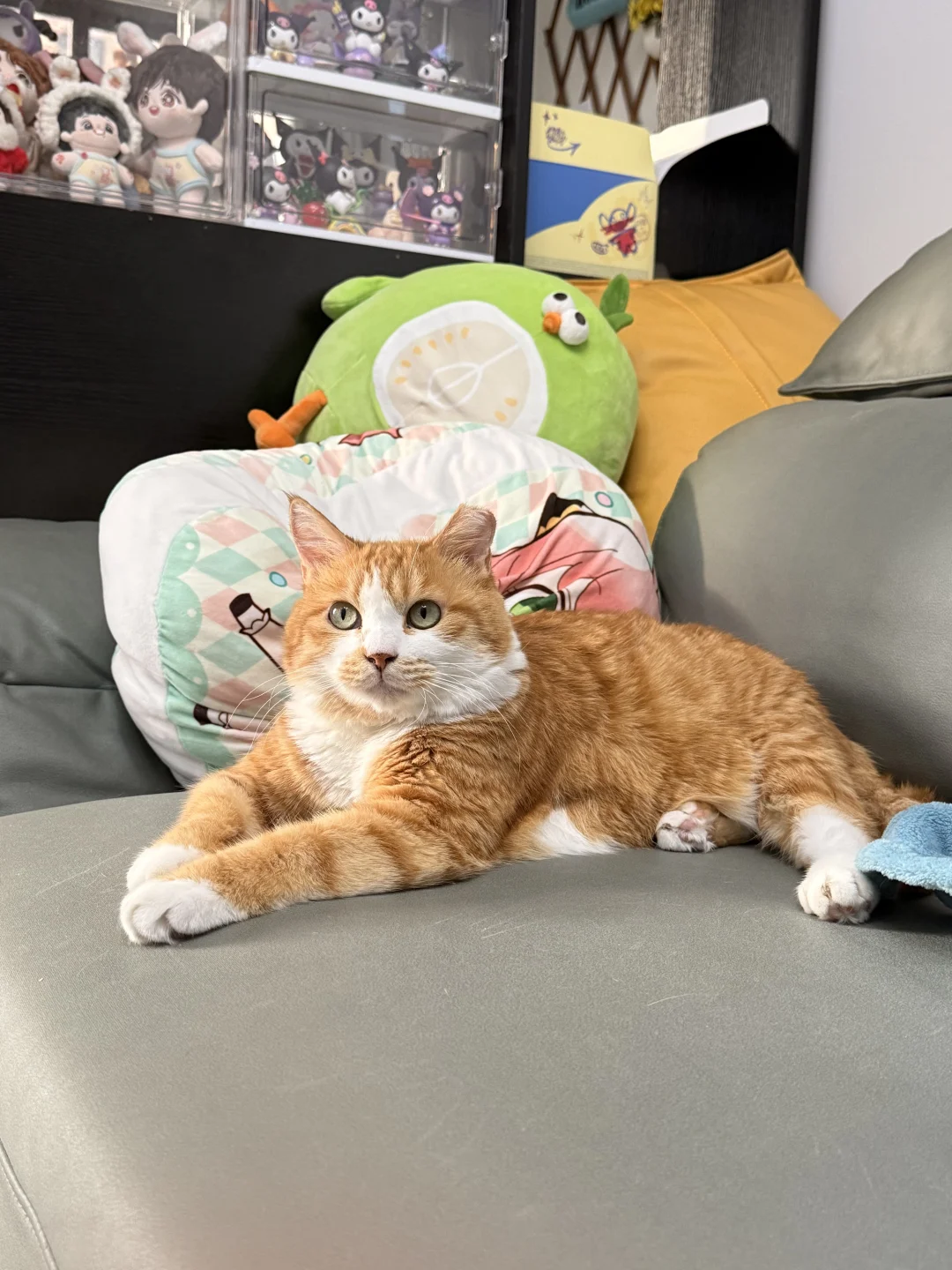 肘开！这是我的位置😡