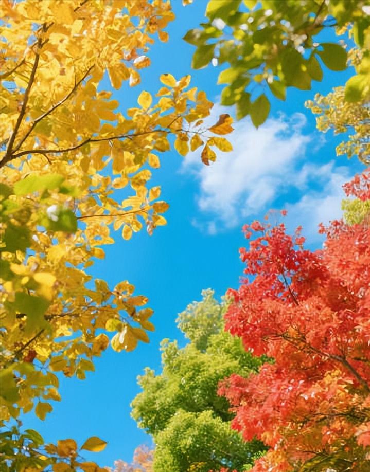 喜印星的，一定要读书 读书 再读书！
社会未来如何变化，都改变不了官杀对自身的压