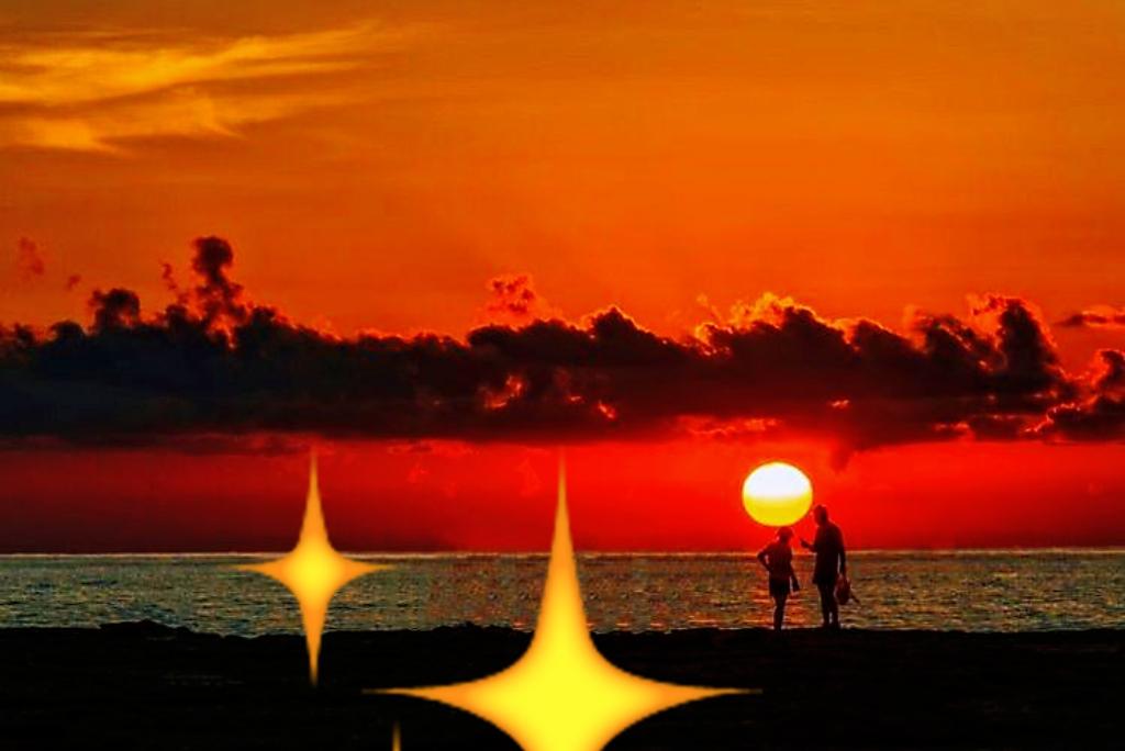 今天撞见绝美夕阳！橘红色天空染成渐变油画，连路边的树梢都镀上金边，骑车的大爷、放