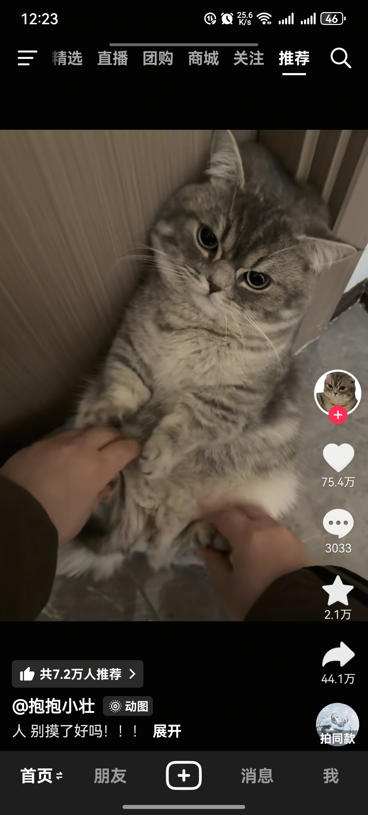 刷到这只小猫 突然想到豹豹了呢