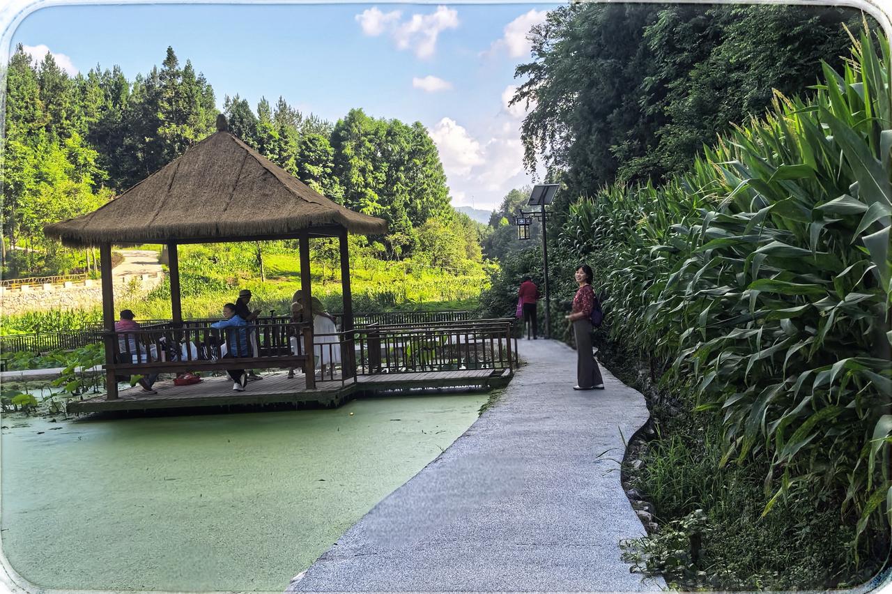 邂逅林海谷公园
若非朋友牵起缘分的线，怎会遇见林海谷这方桃源。在林海云天社区的隐