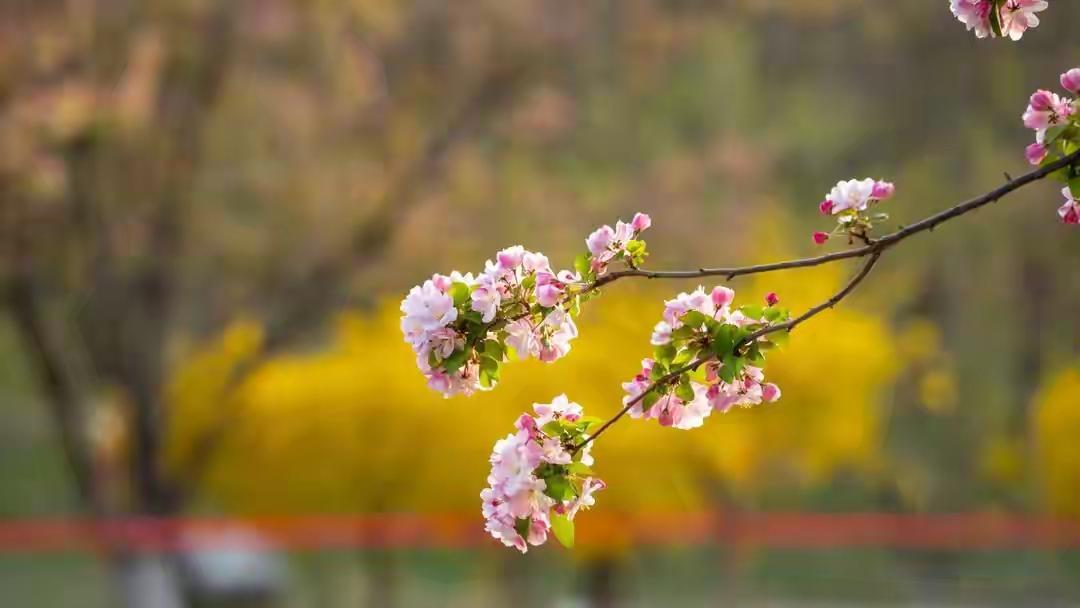 我写头条都是悄悄的，从来不告诉别人，所以身边的人都不知道我在写头条。

因为写作