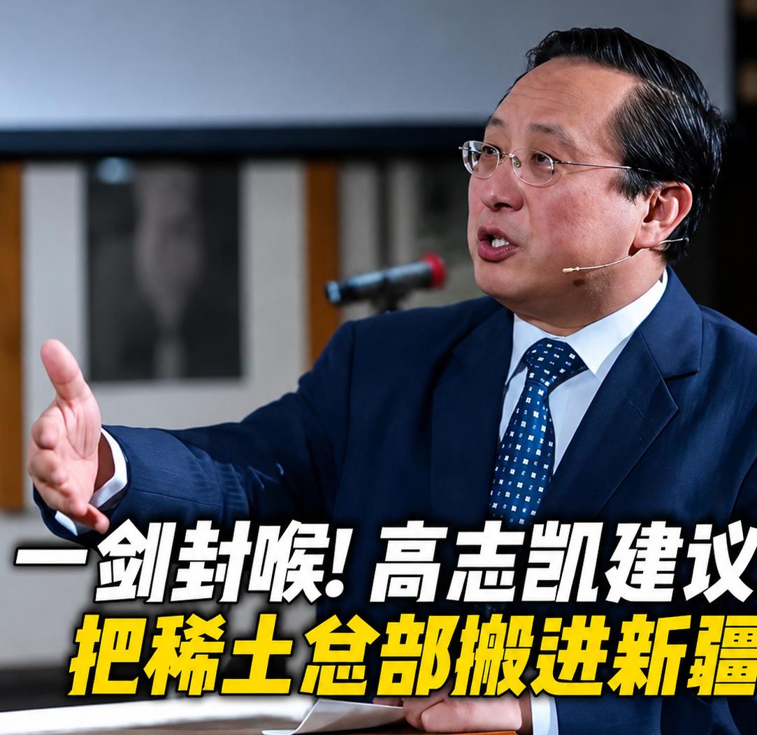 一剑封喉！高志凯祭出顶级阳谋，稀土总部落户新疆，彻底逼死西方双标套路！
高志凯这
