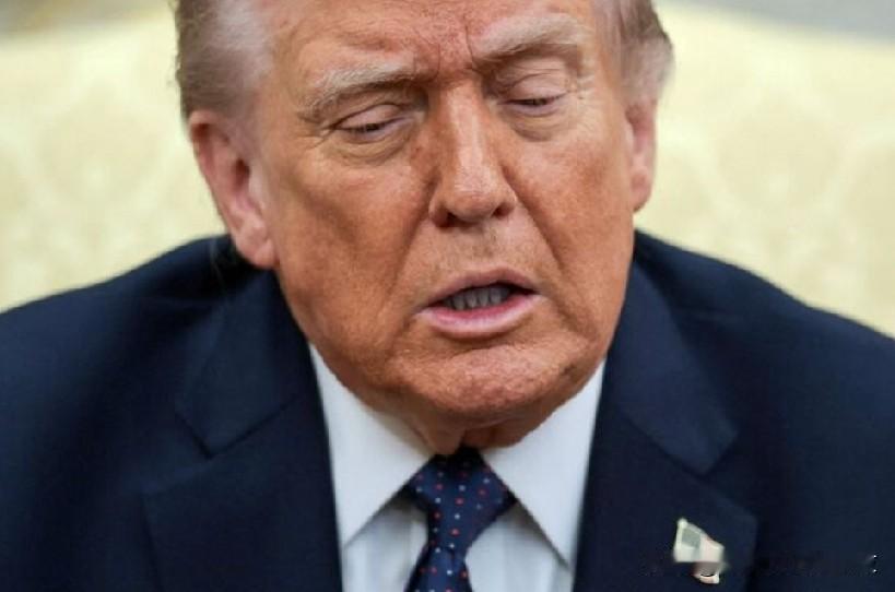 美官员称特朗普将会见中东领导人出席七国集团乌克兰会议。
路透华盛顿 6 月 13