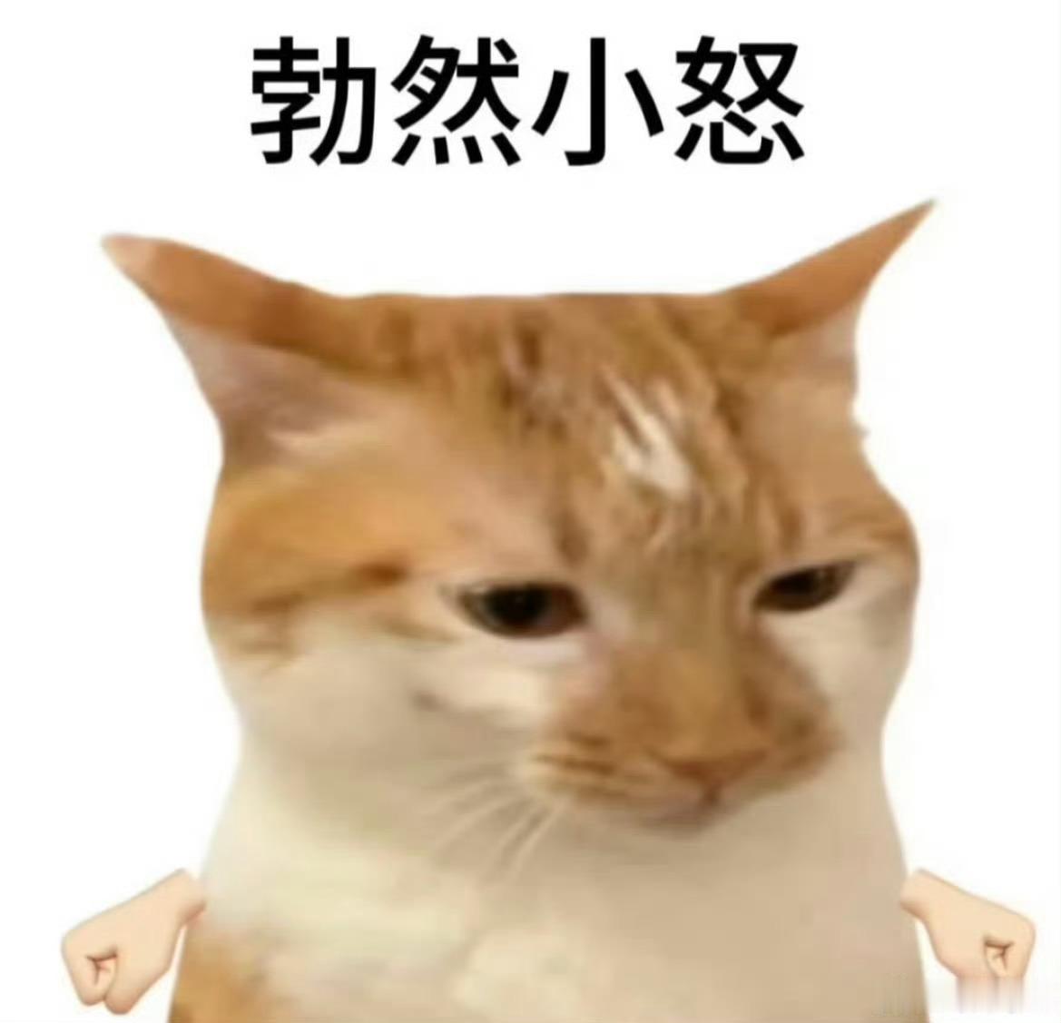 和对象喜欢不同的球队怎么办观赛喜好不同难免红脸，理解彼此的热爱，记住情谊永远比球