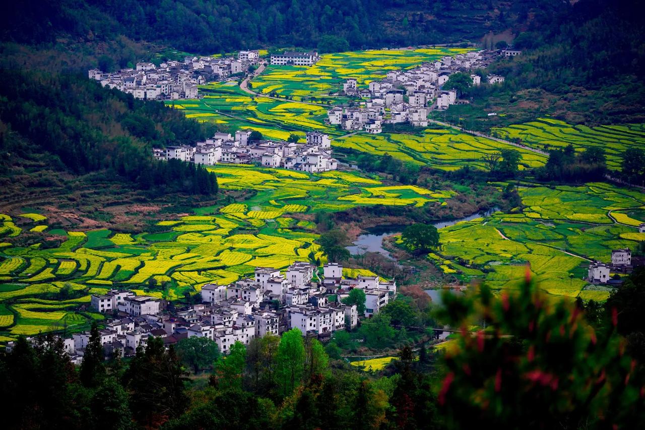 其实在我们这个行业，会接触到形形色色的人。就拿我们曾经带过的一个学生来说，他是一