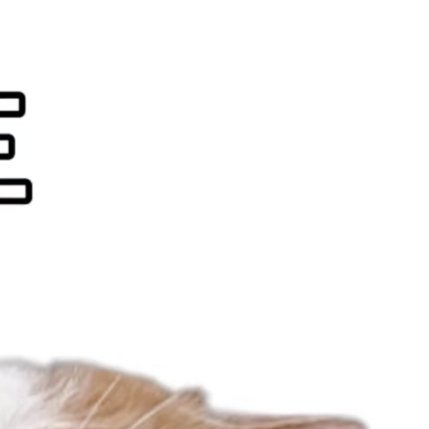 为什么早上容易犯困？因为梦还没加载完，早安，勉强清醒营业中🥱 