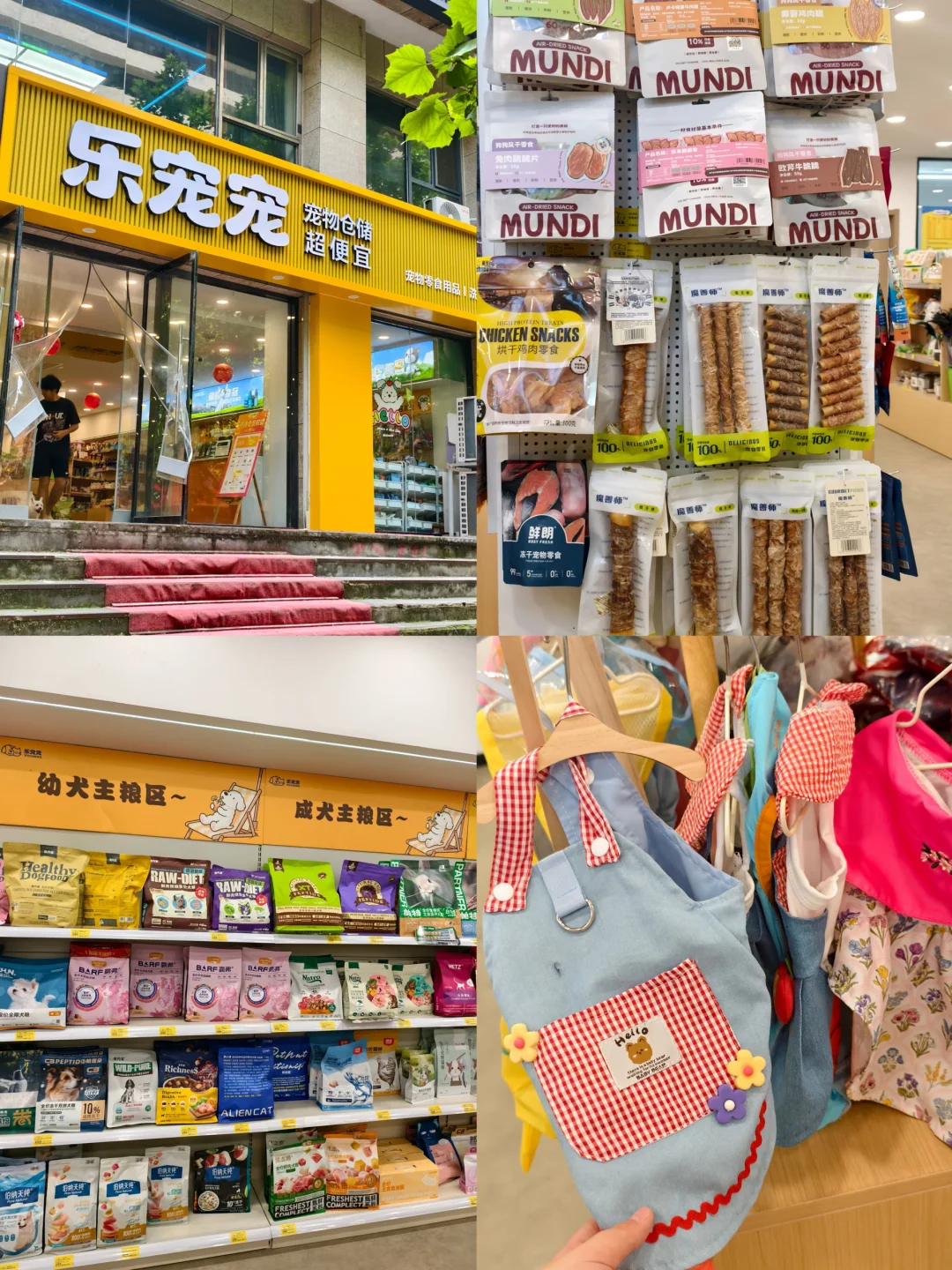 石家庄养宠人快来！这个好地方被我挖到了✨