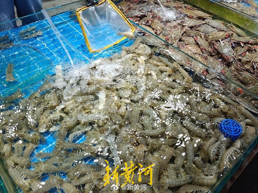 【“一天一个价”，皮皮虾价格一天降10元，#海鲜自由要实现了吗# ？】#济南皮皮