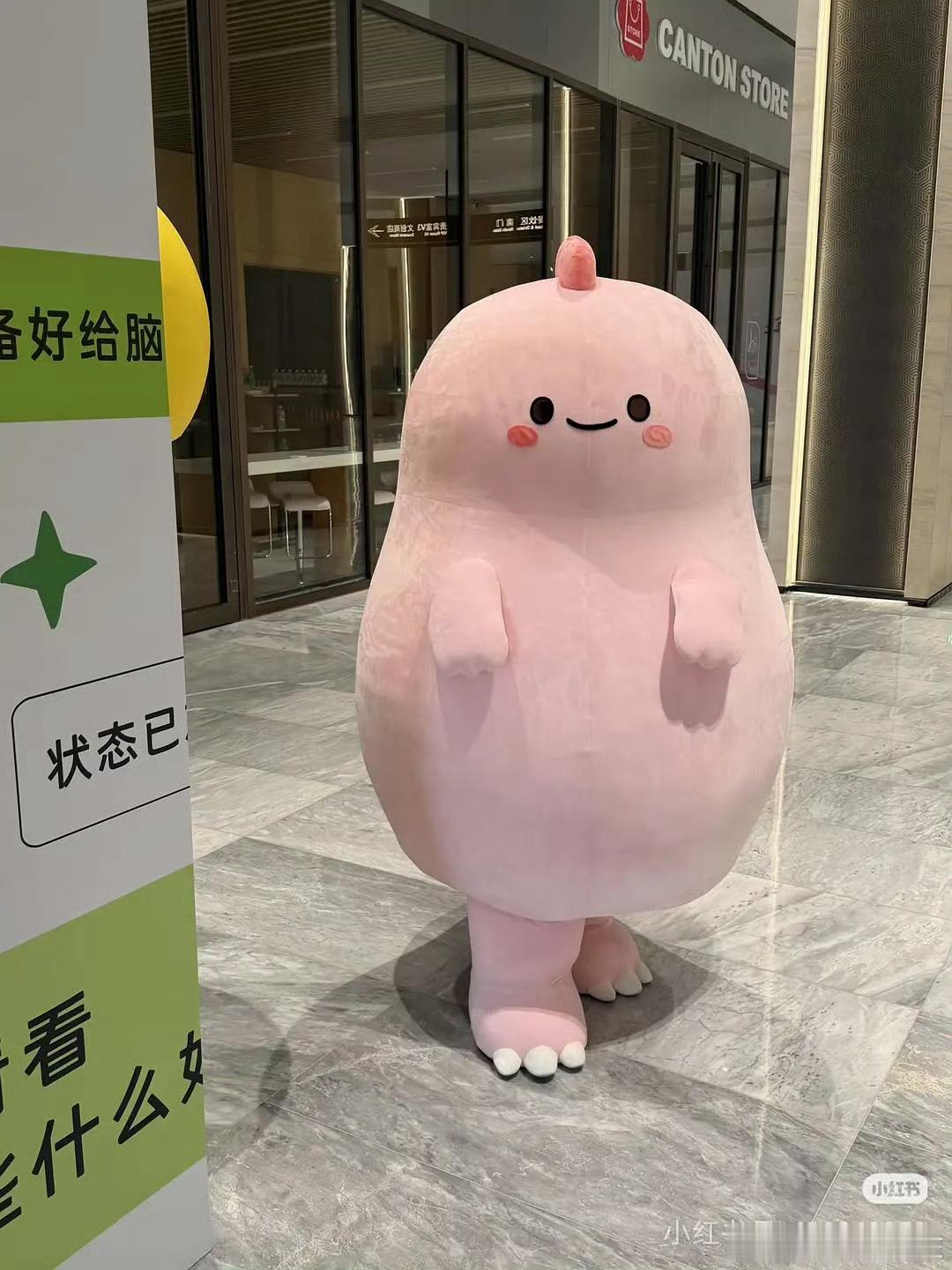 豆瓣和🍠的顶流momo竟然长这样