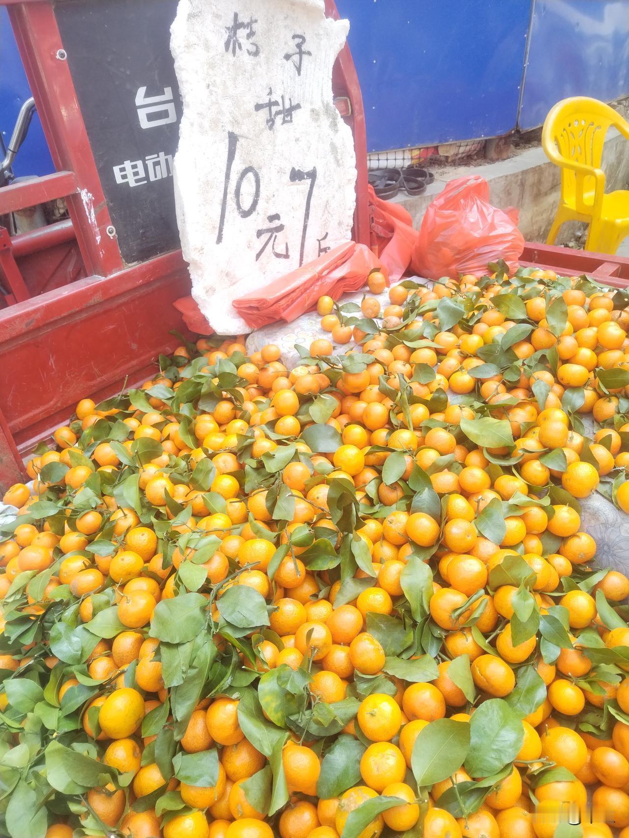 橘甜橘酸，道尽农耕辛与谋

今天在街头，瞧见那清甜小橘子，十块钱七斤的招牌刺眼又