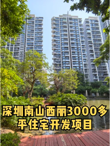 深圳南山西丽3000多平住宅开发项目