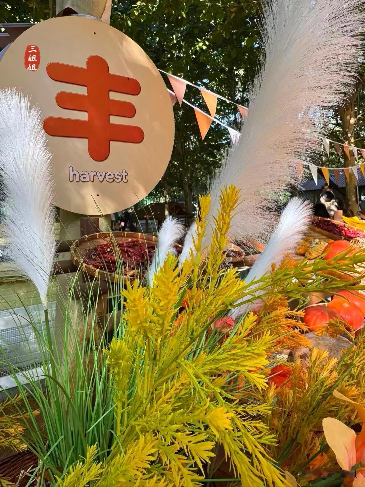 郑州遛娃去哪里，一路向东到沙窝。十一假期，趁着天气正好，我们驱车去了郑州东郊的沙