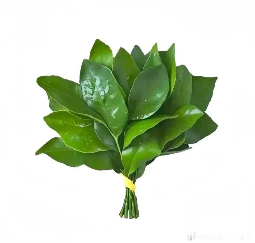 王心凌 吴克群老东西买了多少rs 你继续哈实际是没有的 女歌手的🩸是要吸的 