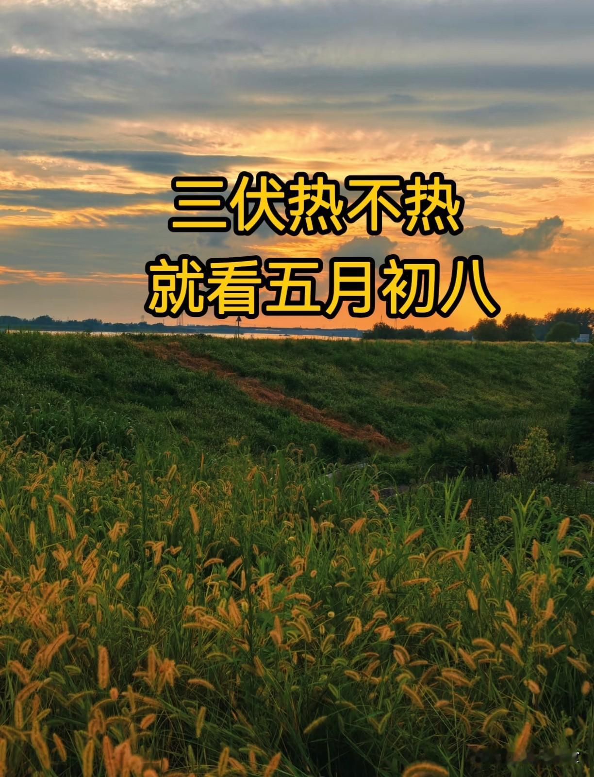 “三伏热不热，就看五月初八”，今日五月初八，今年三伏天很热吗？
民间流传“三伏热