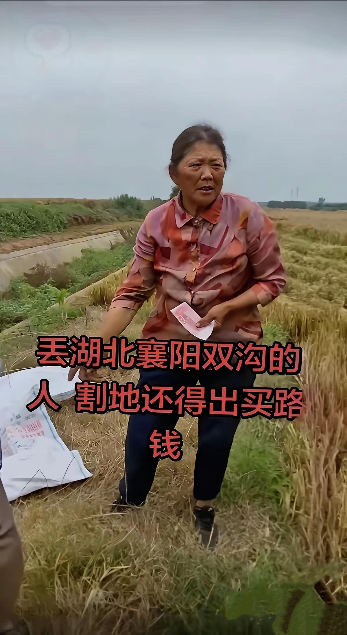 如今“割四赔五”成了麦收季热议新

词，一桩小事却让整个村镇跟着受

牵连，实在