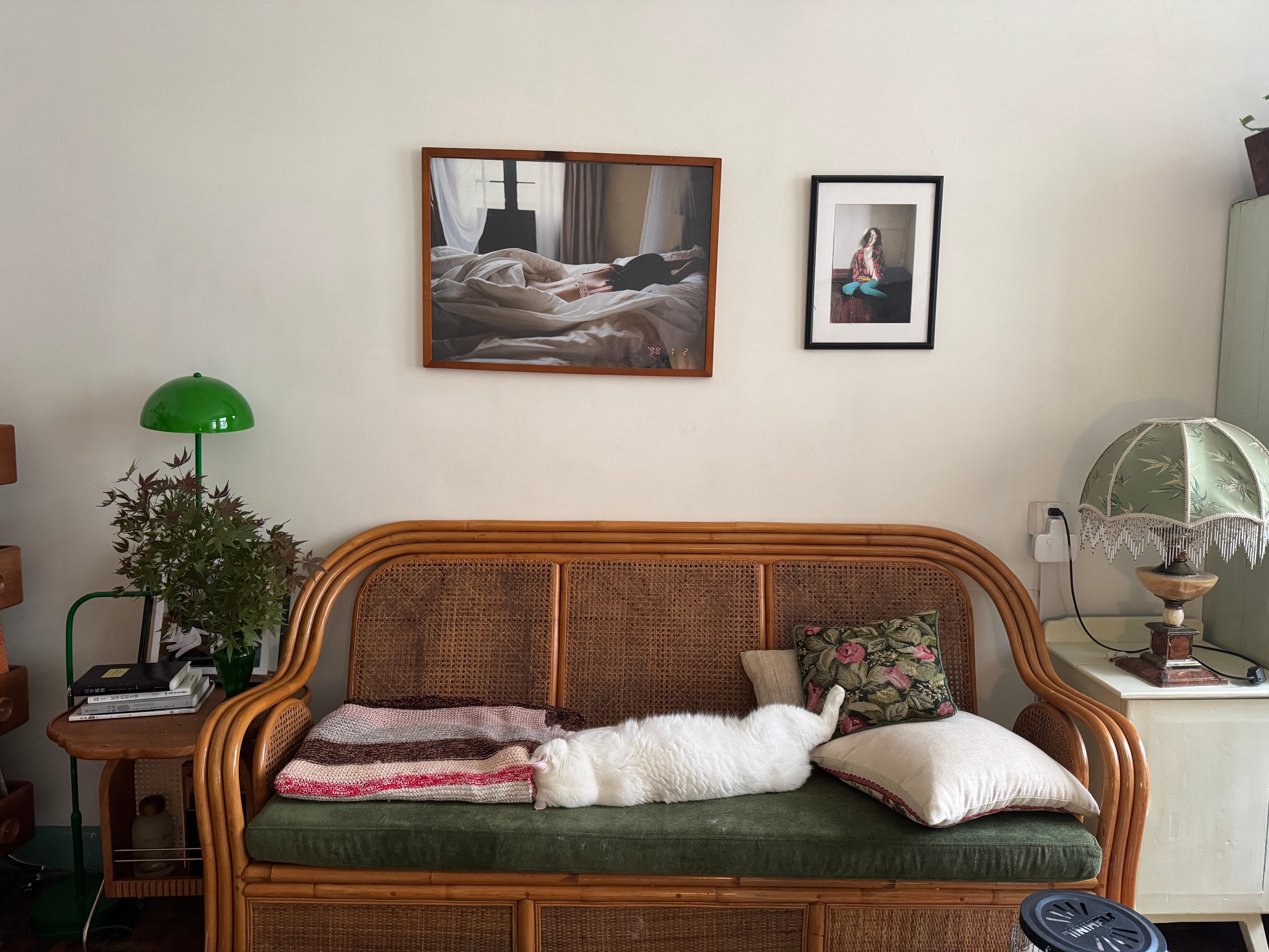 马孔多在下雨 ​​​