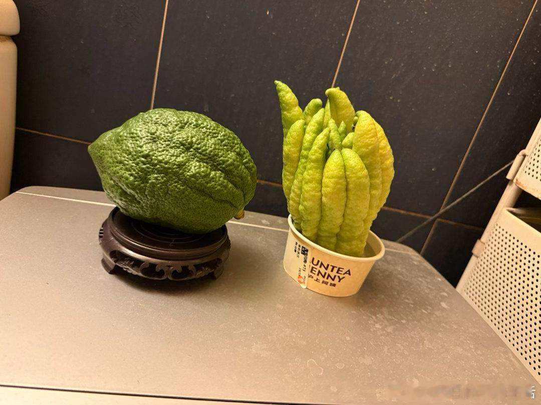 听说这两个东西可以散发香味，买了一样一个放卫生间了，啥味儿都没有啊[思考] ​​
