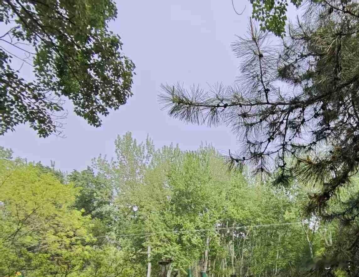 今天是5月27日，星期三，我们这里阴天，最高气温是零上25度，最低气温零上17度