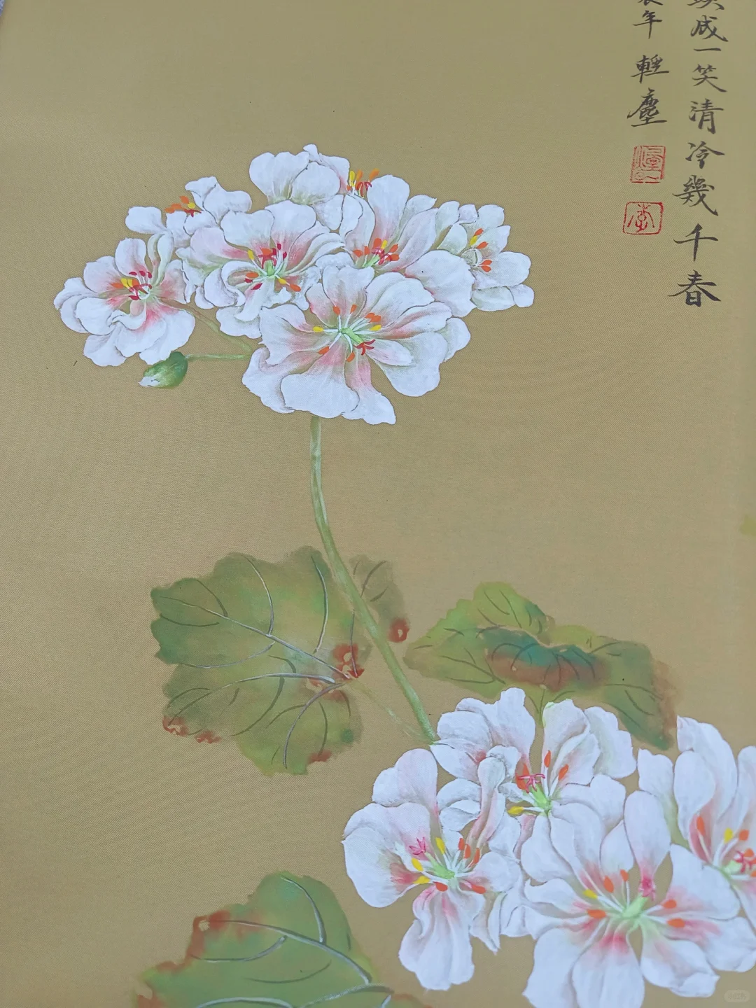 没骨画‖写生天竺兰