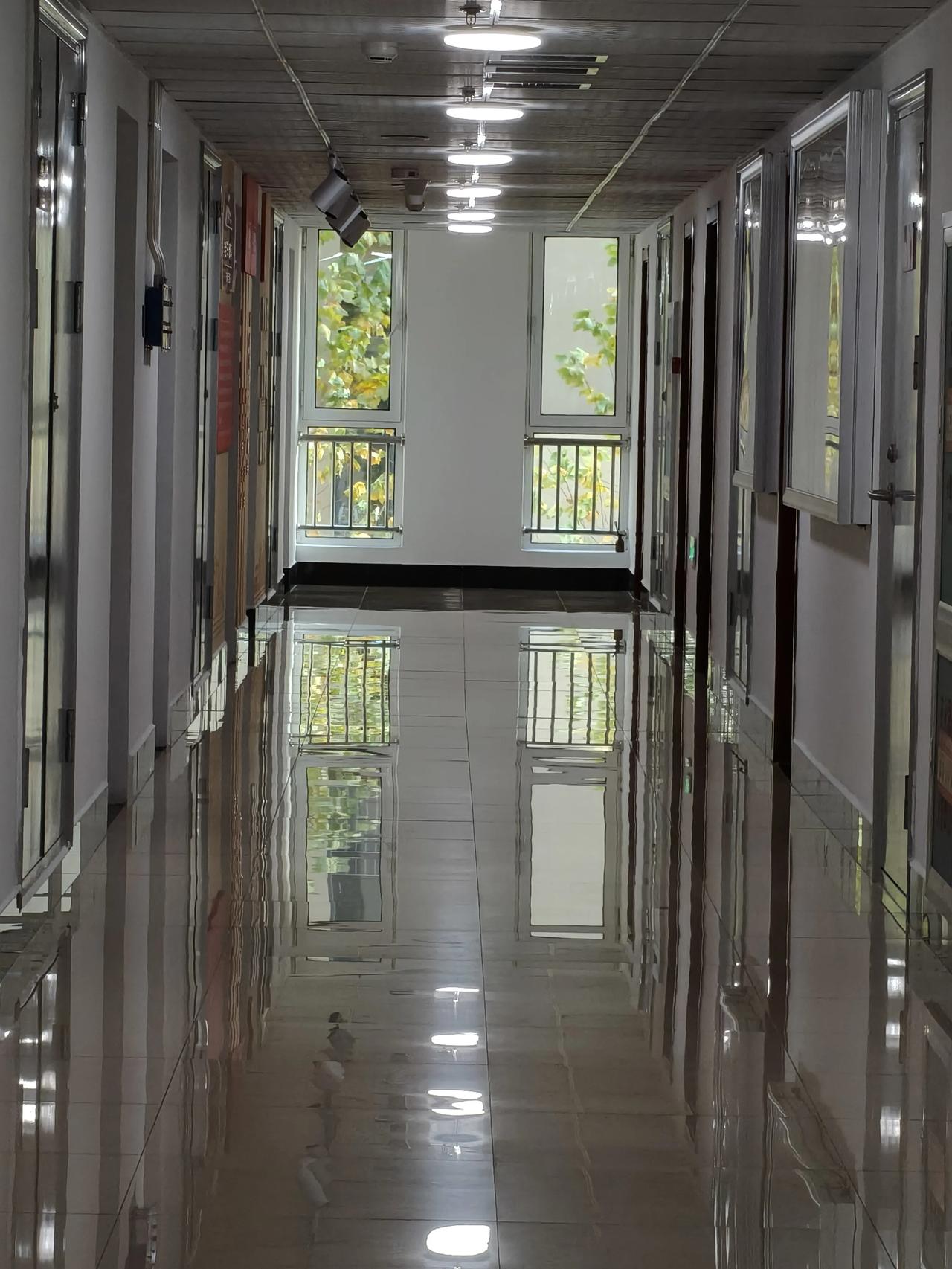 你会利用超长春节假期做什么回家，学习！