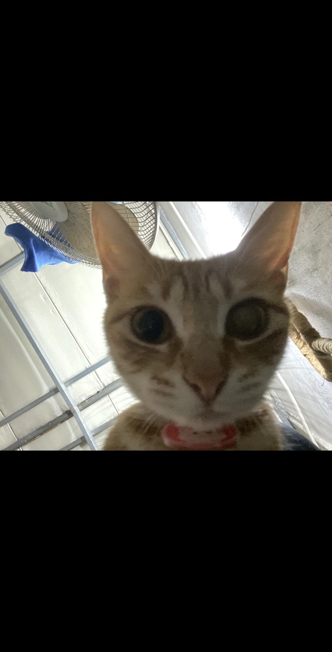 何必心存侥幸😊何必太羞耻😝犹犹豫豫会老的😔鼻子耳朵眼睛👃👂?...