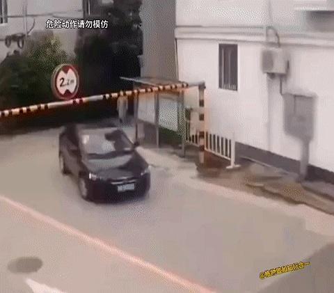车开着开着，天窗里突然冒出个小脑袋和两只手，结果下一秒就撞上限高杆了，真是看得人