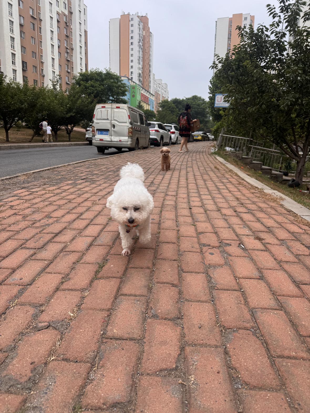 我的今日状态：😁轻松愉快
我这里的天气：🌤️多云

早上的天气清凉舒爽，
小