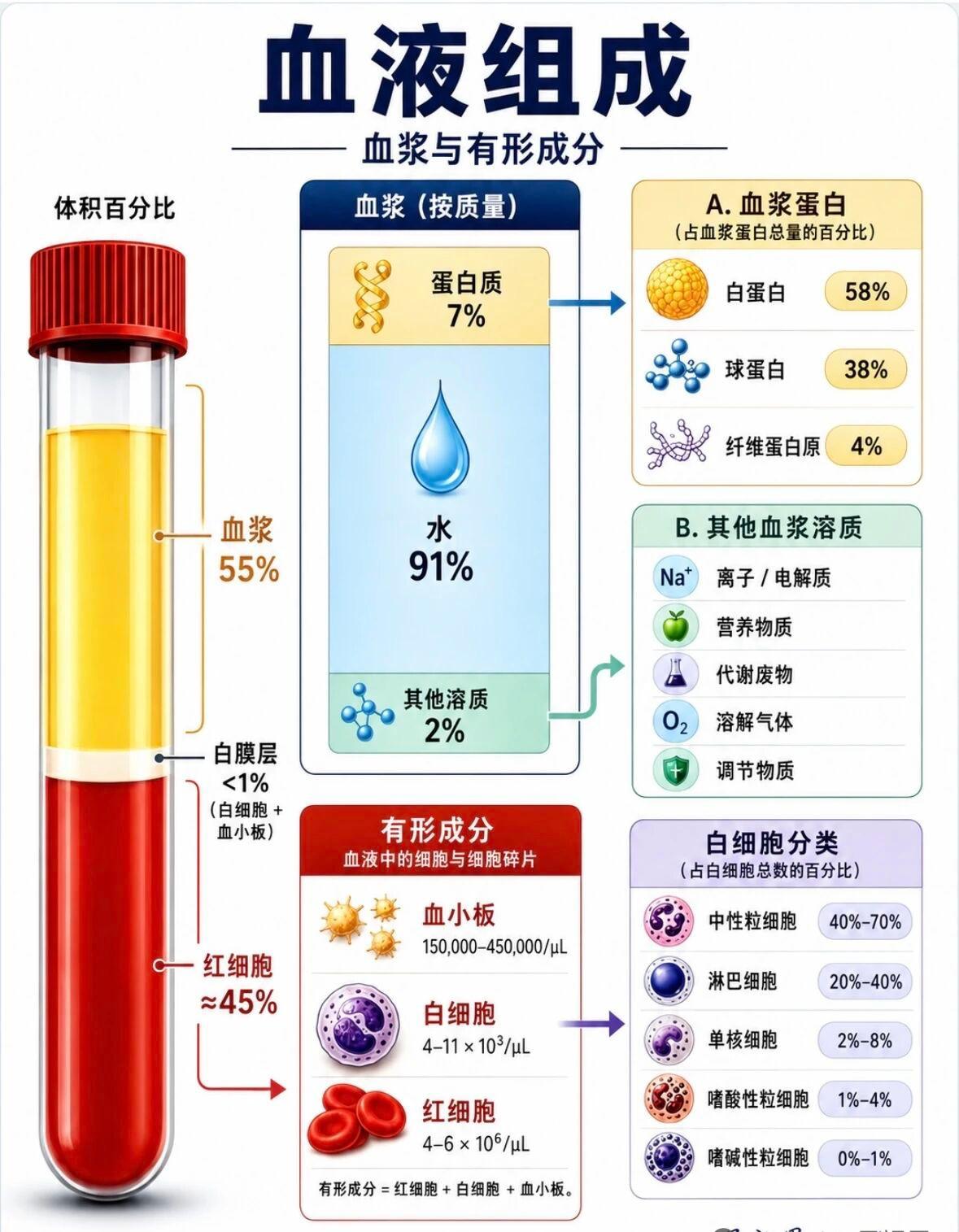 早前陪家人去做血常规，盯着检验单上那一连串上下箭头，头一回真切察觉到血液根本不是