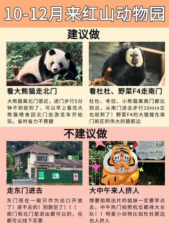 11-12月去红山动物园的，听点本地人大实话吧