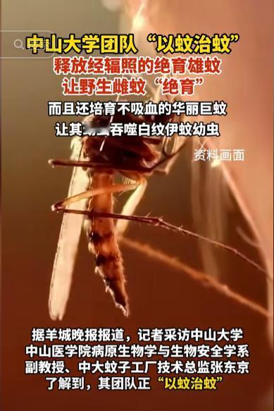 解释不清了！广东，为了应对基孔肯雅热，中山大学的副教授带着学生团队，跑到佛山，往