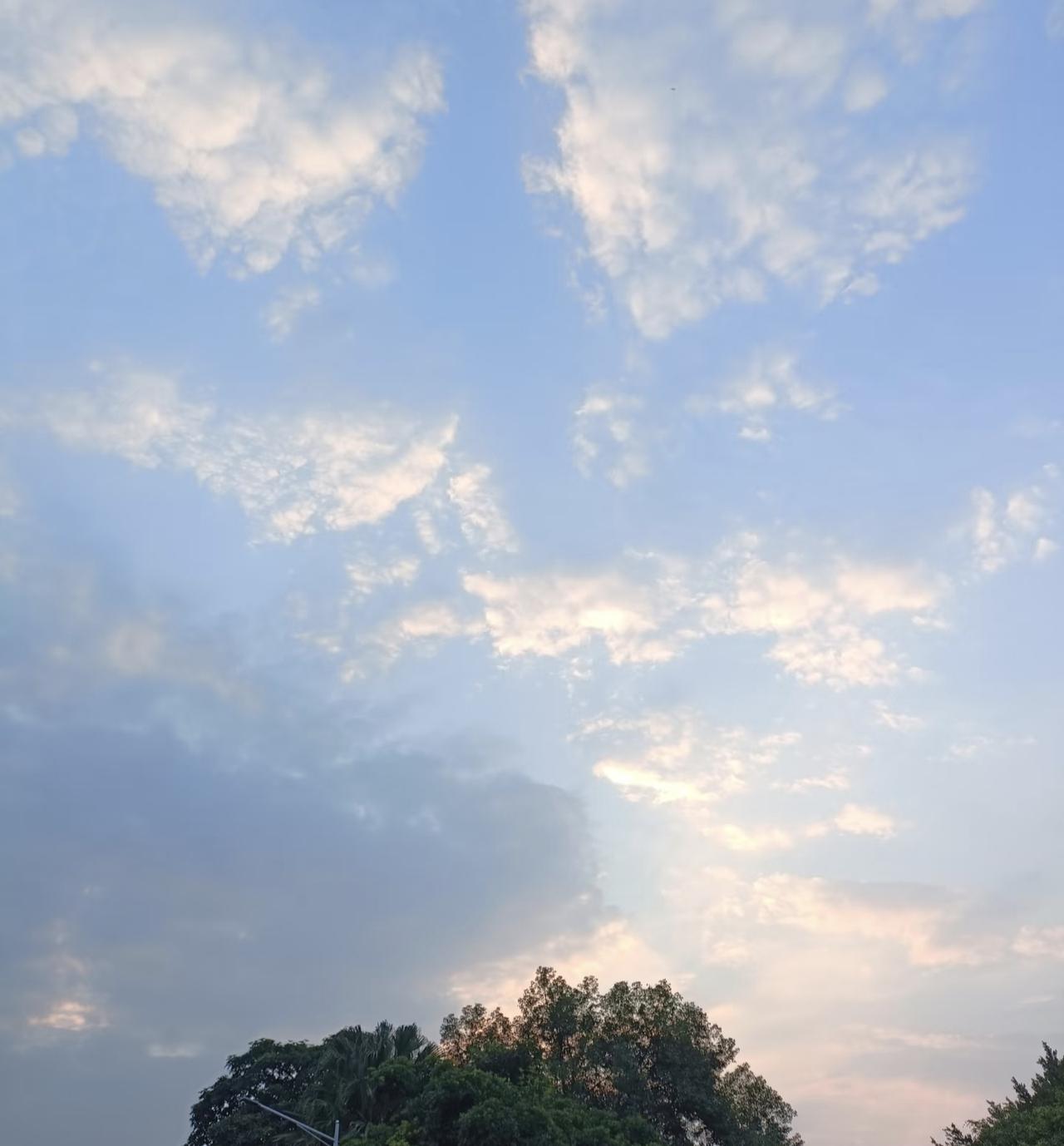 傍晚散步时一抬头，就被这片天空温柔到了。细碎的云絮像撒在蓝丝绒上的糖霜，泛着淡淡