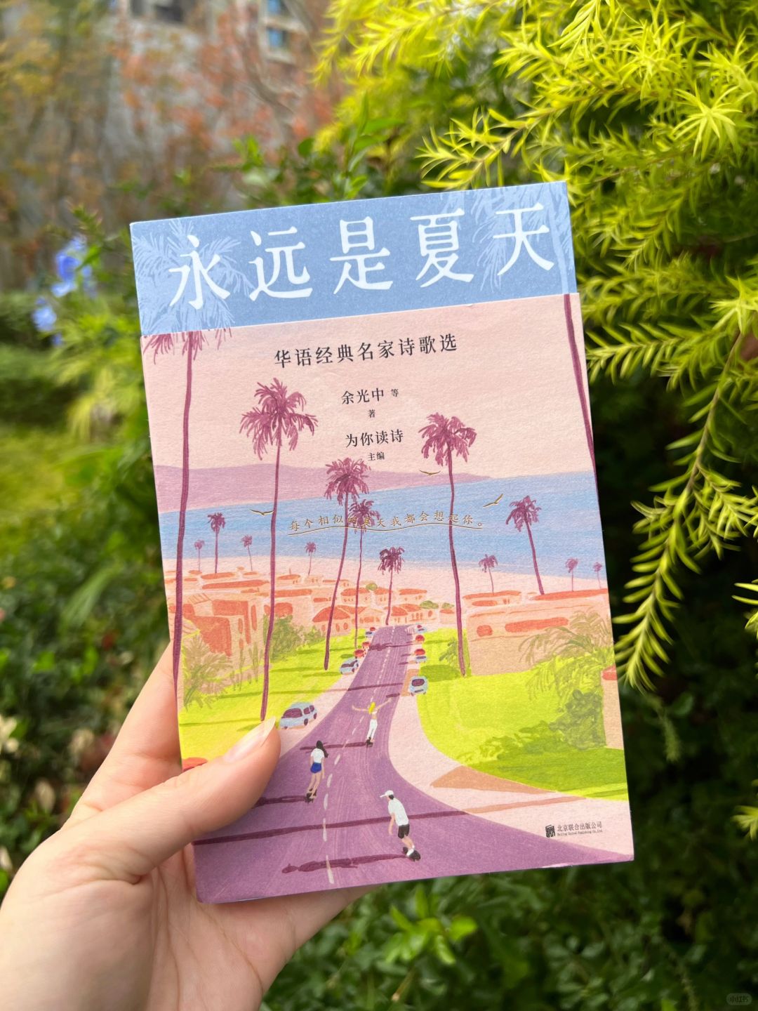 crush了一本宝藏治愈诗集🌟