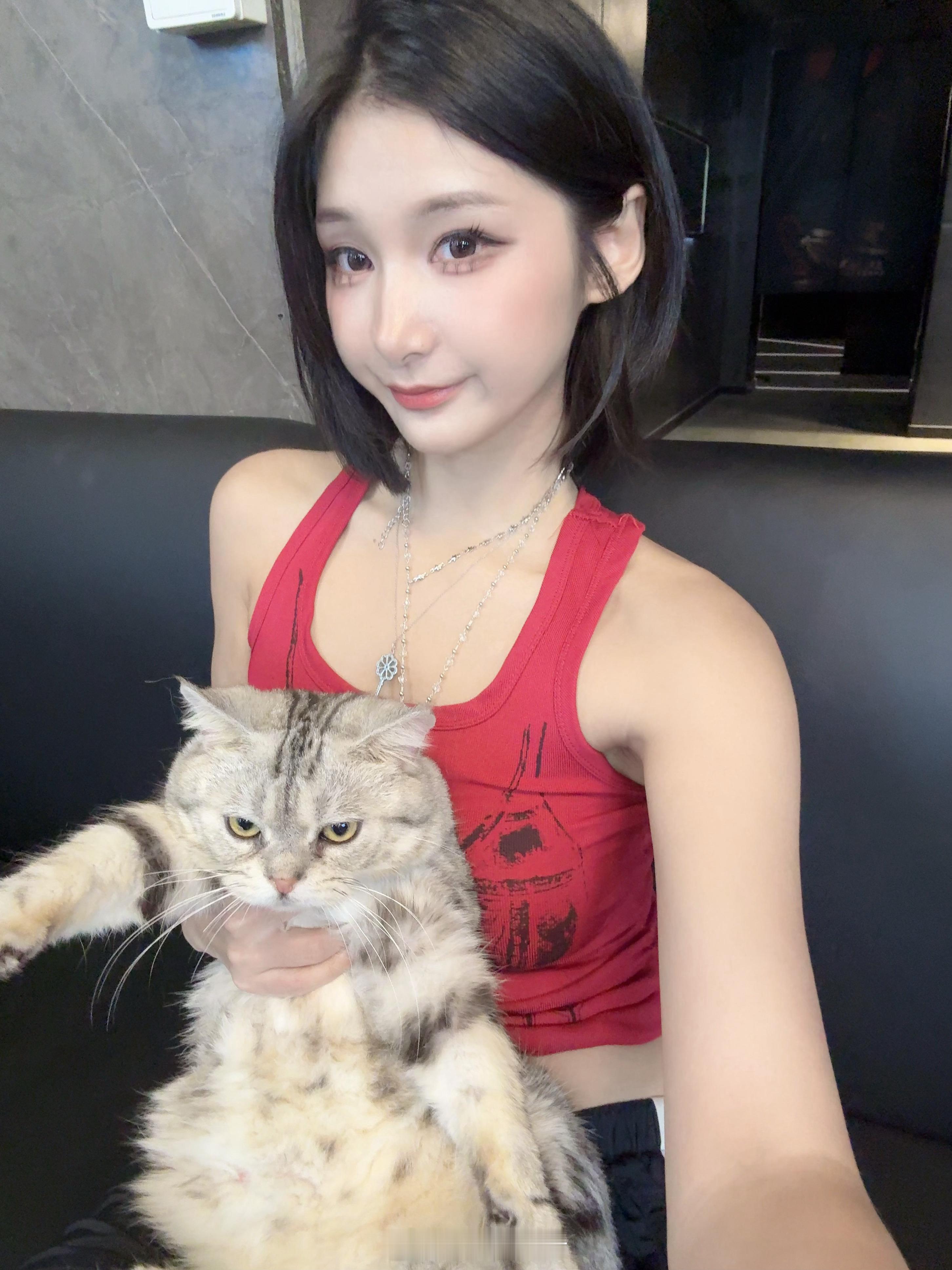 小猫咪 