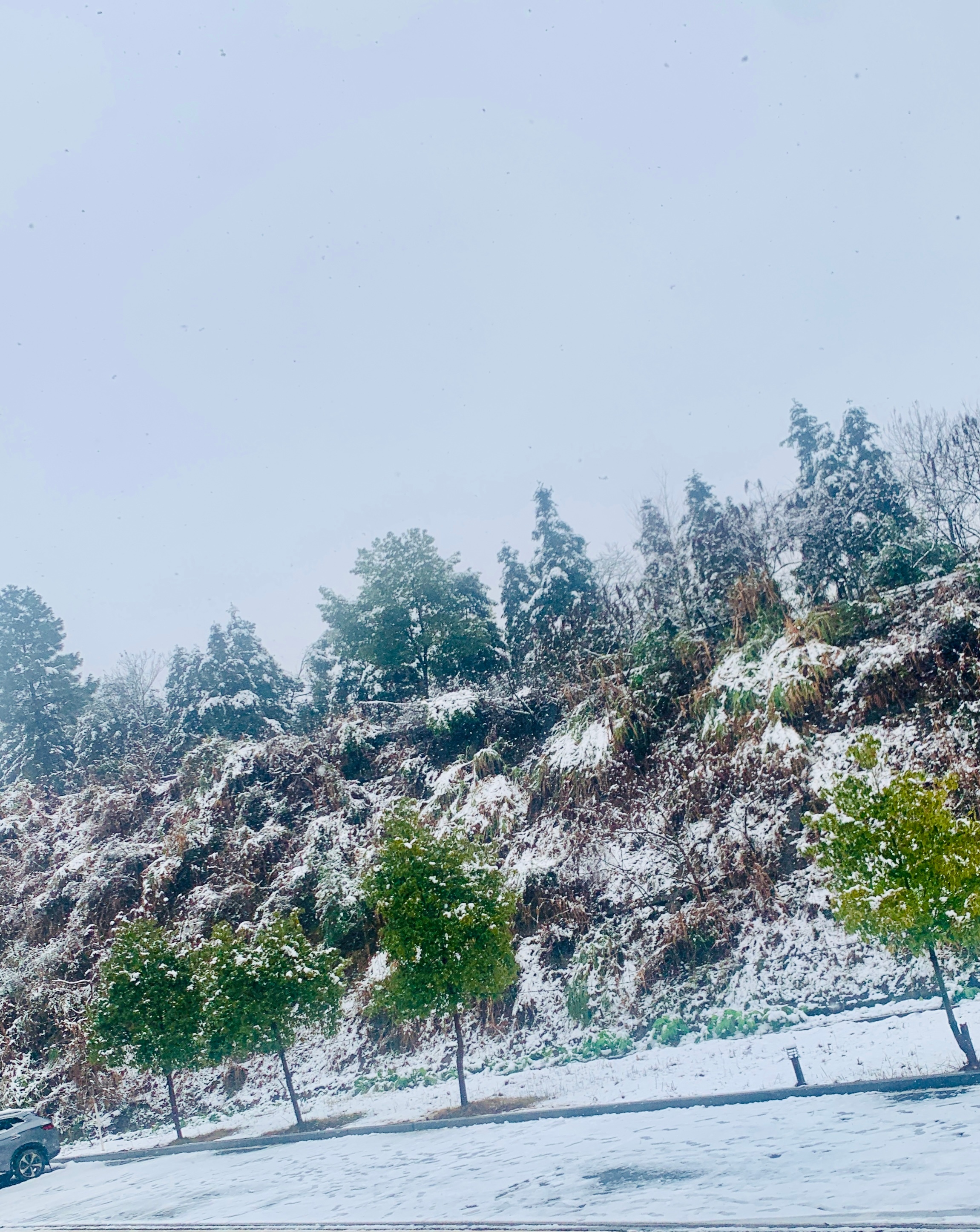 ❄️ ​​​
