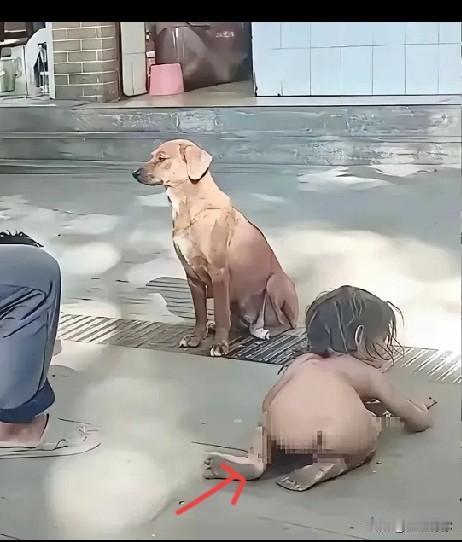 思极恐
正常人的肛门都是紧闭的，这个小孩是开着的，颜色也不对劲，而他的玩伴一直都