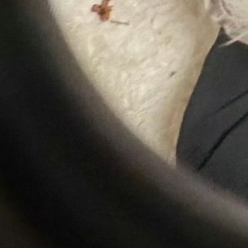 每日一善0000每日一善 🩶阳光信用 日行一善，长长养天地正气，日行一善，让善