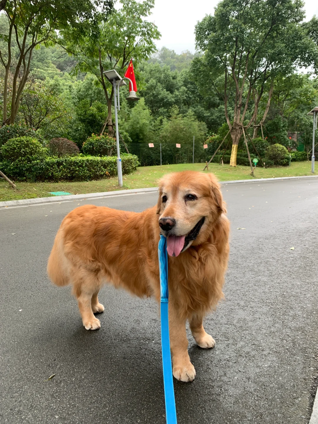 宝宝郁闷🌧️🌧️🌧️