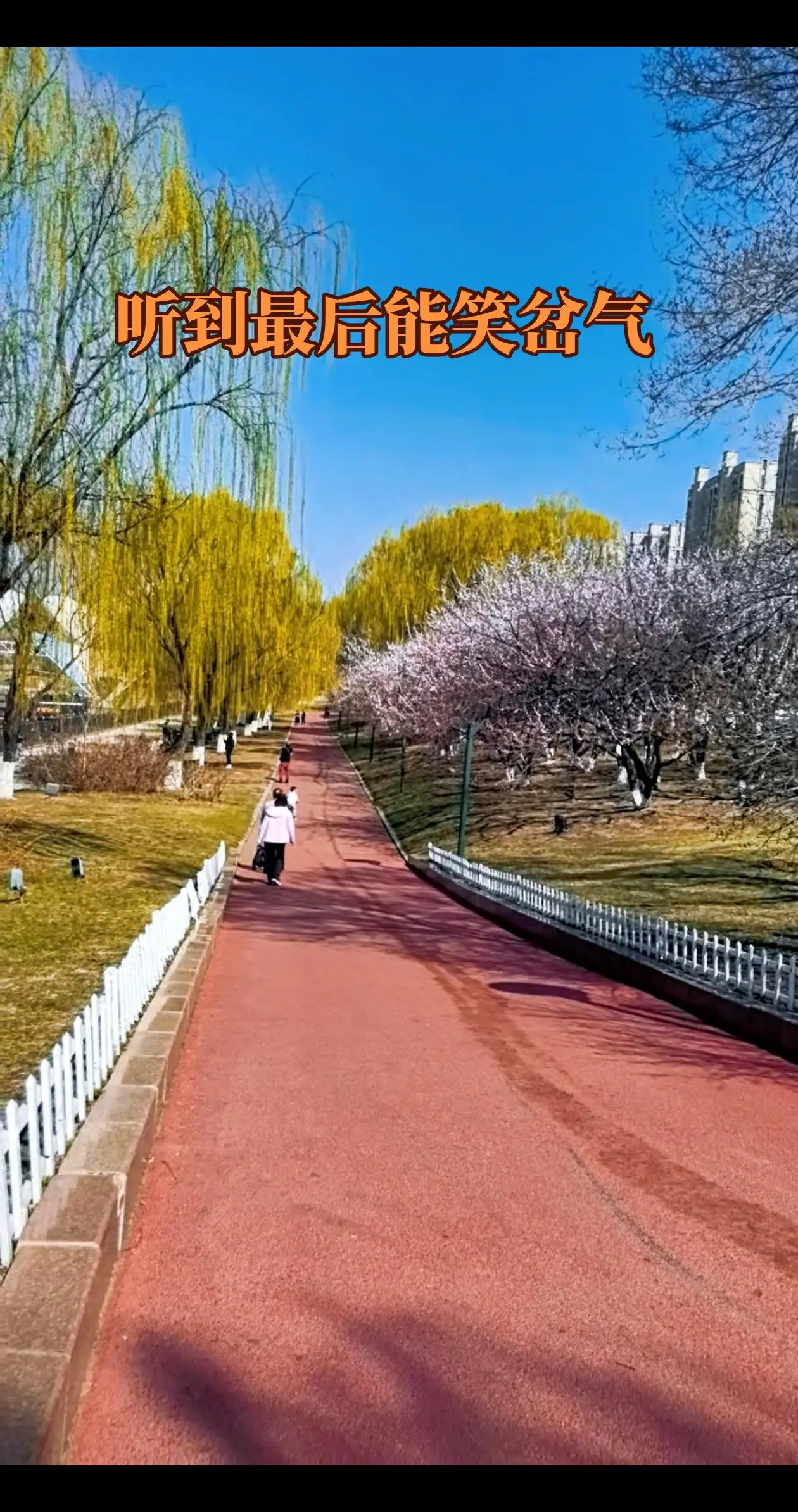 听到最后能笑岔气