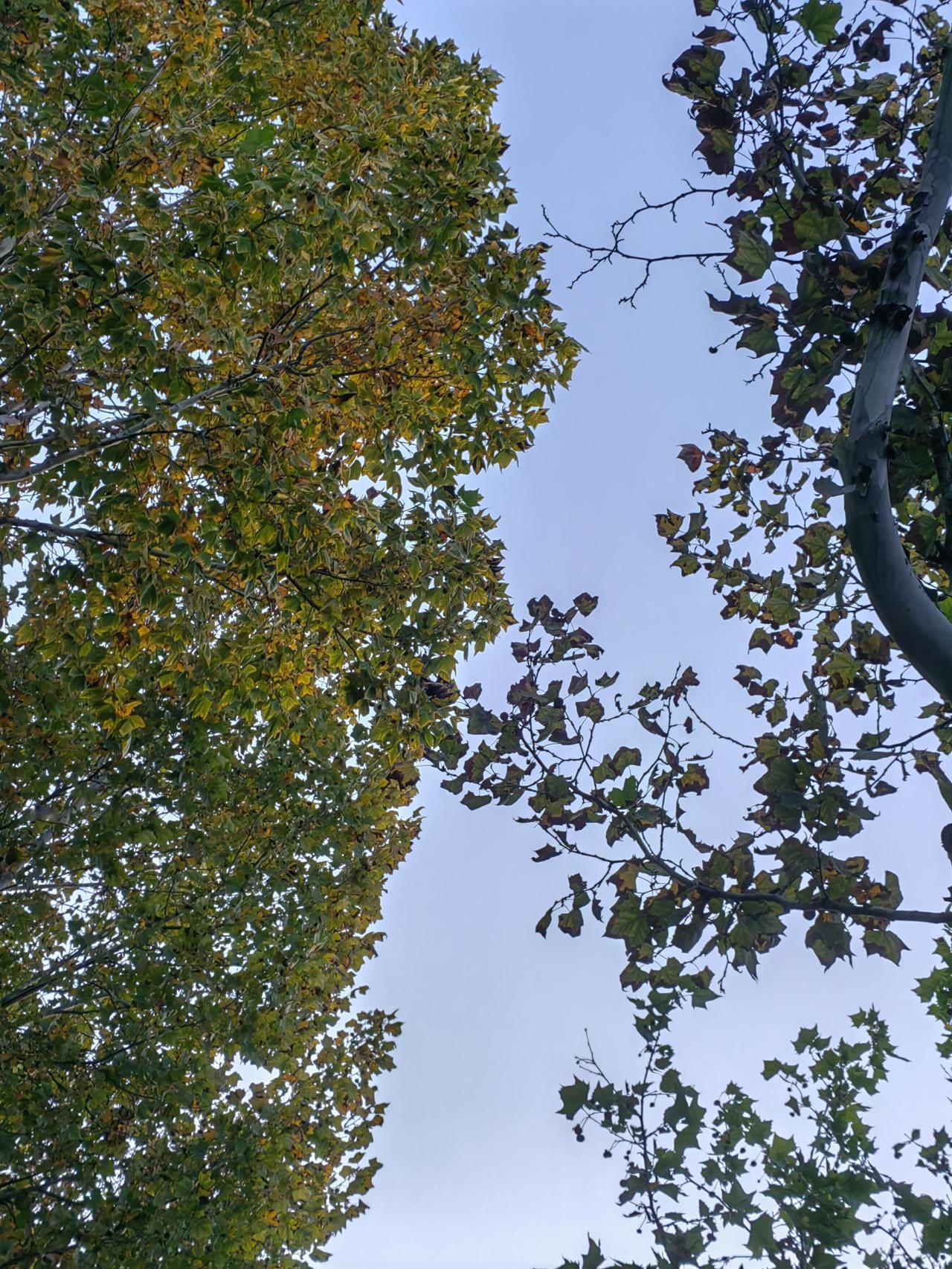 问你一句最简单的话“你现在累吗”普通人没有不累，闲人心累，想要不累心先静，“争而