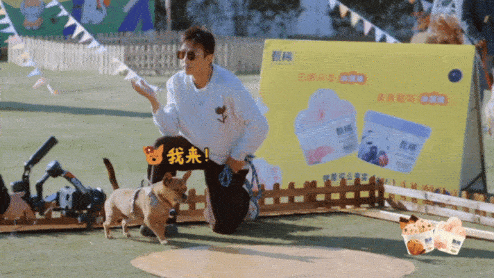 比邓超更搞笑的是邓超的狗笑死，邓超养狗养出了照镜子效果。土豆：想吃就吃想跑就跑。