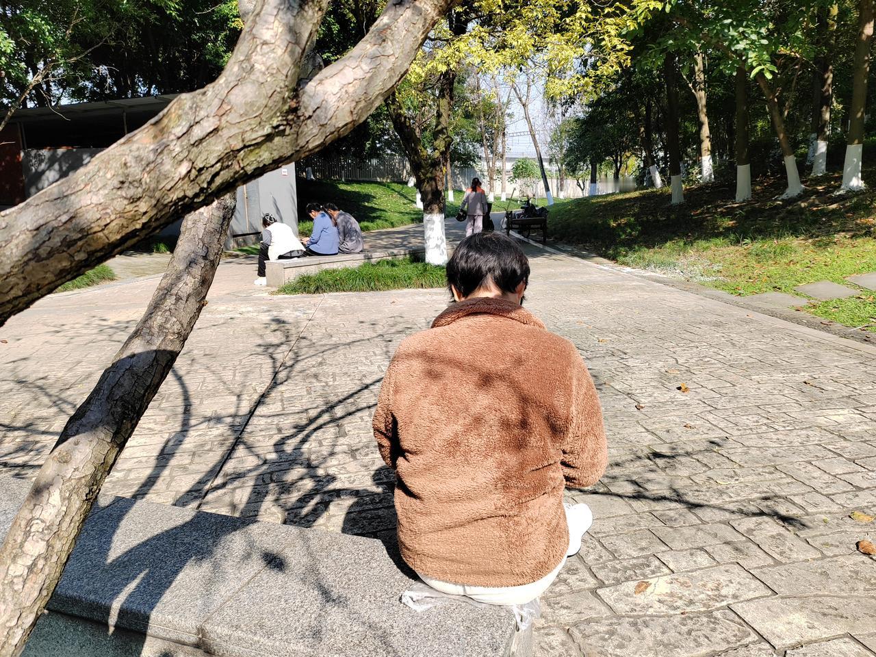 今日蓉城，天穹如洗，一片好晴朗。阳光是难得的慷慨，滤过冬日清冽的空气，洒下满城温