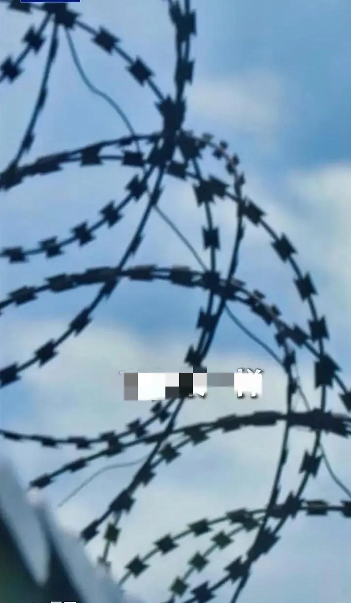 杀一儆百！海归博士叛国，判无期！
 
海归博士，叛国求荣！
infiltrate