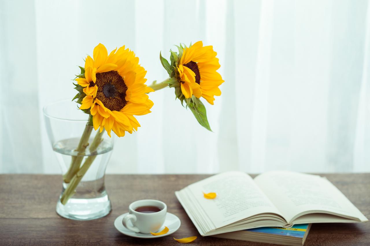 父母没有智慧的爱，反而害了孩子
 
很多人对爱有错误的理解，总觉得你能满足我的一