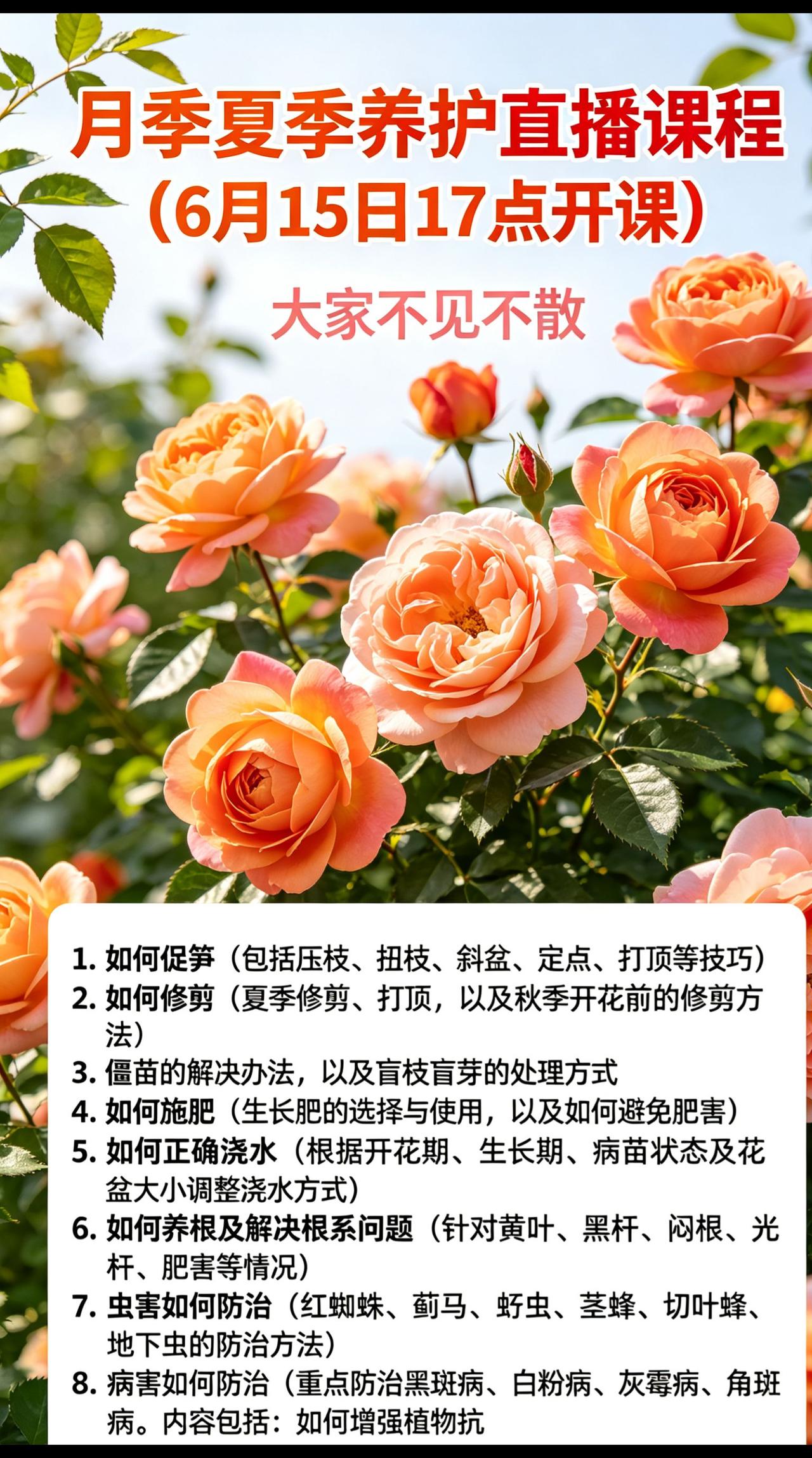  17点准时开播！月季夏季养护专场，干货拉满 直播预告