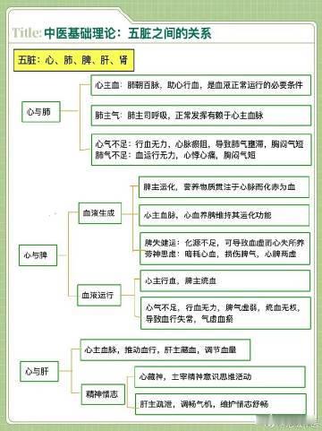 一图看懂；心与肺的关系；心与脾的关系；心与肝的关系； 