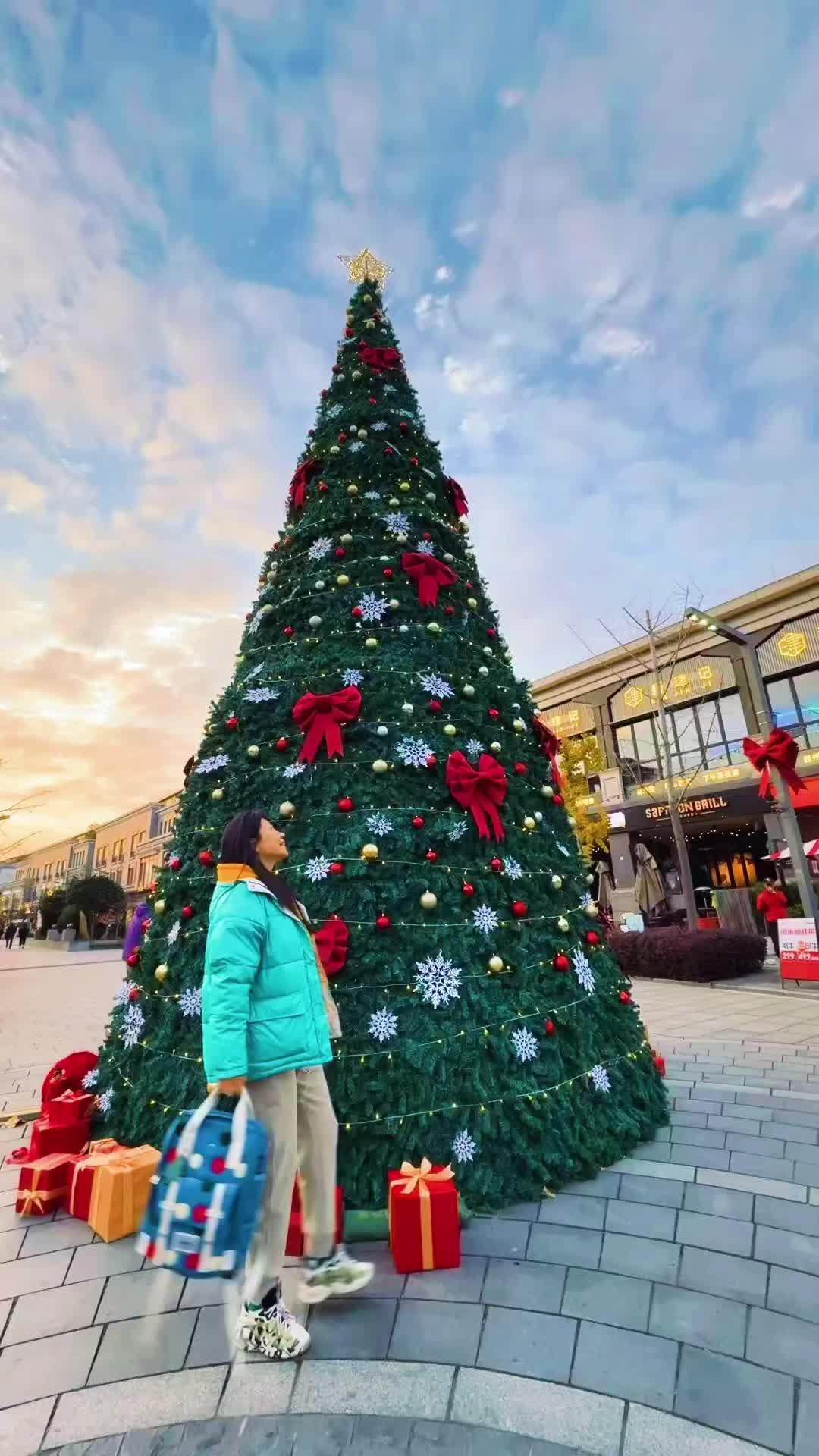 圣诞快乐🎄上海夏都小镇这么city啊……