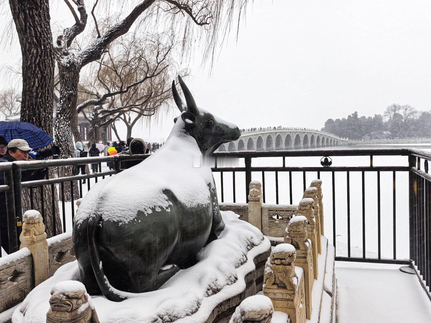 颐和园初雪摄影